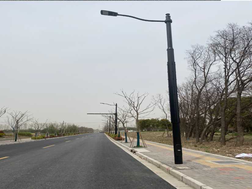 谢通门县上海综合杆 太阳能路灯工程